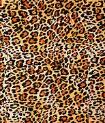 Image result for Giro Cheetah Print