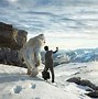 Image result for Yeti Polar Bear