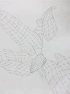 Image result for Cross Contour Lines in Art
