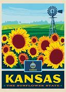 Image result for First Kansas Flag with Just a Sunflower