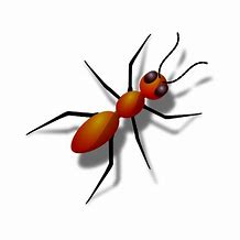 Image result for Red Ant Clip Art