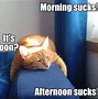 Image result for Cat Pirate Good Morning Meme