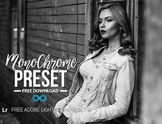 Image result for Black and White Presets