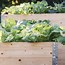 Image result for Simple DIY Garden Boxes