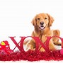 Image result for Funny Dog Valentine Memes