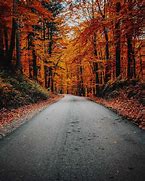 Image result for 8K Autumn Wallpaper