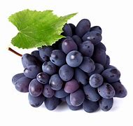 Image result for grape