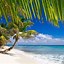 Image result for Caribbean Beach Wallpaper for iPhone