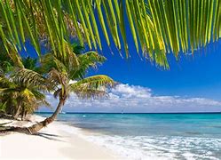 Image result for Caraibi HD