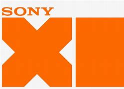 Image result for Sony 550 Logo