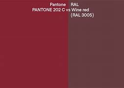 Image result for Champagne Pantone