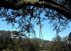Image result for Hanging Rope