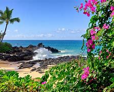 Image result for Beach Morning