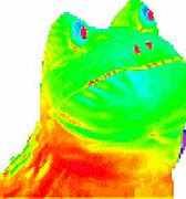 Image result for Frog Cartoon GIF PNG