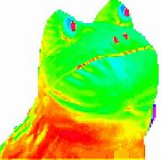 Image result for Pepe the Frog GIF Transparent