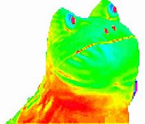 Image result for Cat PNG Meme Baguette