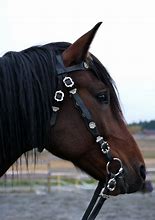 Image result for Spanish Horse Tack