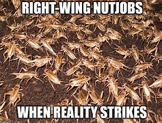 Image result for Crickets Waiting Meme