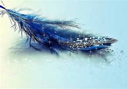 Image result for Blue Feather Background