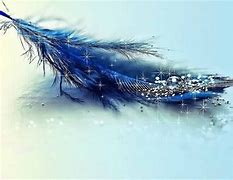 Image result for Original Blue Feathers iPhone 6 Wallpaper