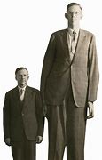 Image result for World Record Tallest Man