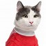 Image result for Cat Wearing Shorts Clip Art