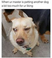 Image result for Dog Memes 2017