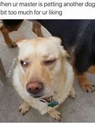 Image result for Dog THOUGHTS Meme