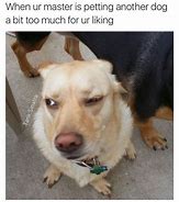 Image result for Dog Looking Meme