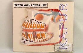 Image result for Jawbone Name