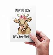 Image result for Funny Cow Happy Birthday