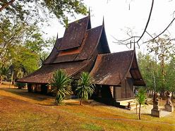 Image result for Giant Tree House Chiang Mai