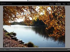 Image result for Lightroom Classic CC with RTX 2080