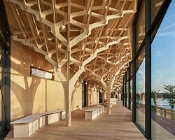 Image result for Tree-Like Structure