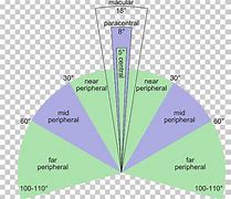 Image result for Peripheral Vision Diagram