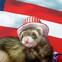 Image result for Happy Animal Memes