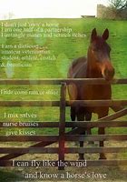 Image result for Baby Horse Quotes