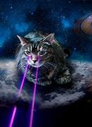 Image result for Animated Space Cats