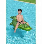 Image result for Kids Inflatable Pool Toys