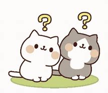 Image result for Cat with Question Mark Meme Eyebrow