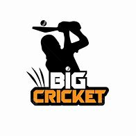 Image result for Cricket Logo Memon