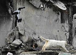 Image result for War-Torn Ukraine