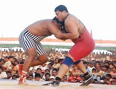 Image result for Wrestling Players in Maharashtra