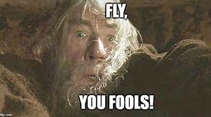 Image result for Gandalf Fly You Fools Meme