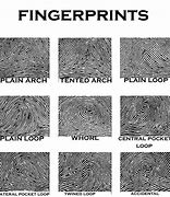 Image result for Fingerprint Sections