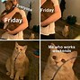 Image result for Funny Weekend Memes