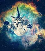 Image result for Galaxy Cat Wallpaper 4K