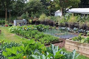 Image result for Sustainable Community Garden