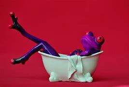 Image result for Rubber Frog Bath Toys