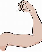 Image result for Bicep Arm Clip Art